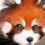 :iconleen-galeas: