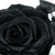 :iconleesmilezz: