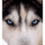 :iconlefemme-nikita: