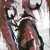 :iconleftoverjoe: