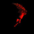:iconleftoverphotography: