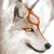 :iconlegacyofshiranui: