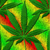 :iconLegalizeFreedom: