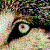 :iconlegallyinsane13:
