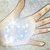 :iconlegend-of-genii: