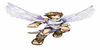 :iconlegendofpitspokemon: