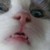 :iconlegion4: