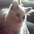 :iconlegionlight: