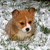 :iconlegit-munster:
