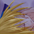 :iconlegna02: