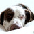 :iconleigh-johnstone: