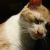 :iconleigh718: