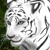 :iconLeighannlimabean: