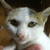 :iconleighfab97: