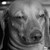 :iconlekin680810: