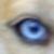 :iconlella1: