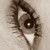 :iconlemirada:
