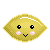 :iconlemon-lolly: