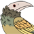 :iconlemon-macaw: