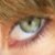 :iconlemon8d: