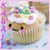 :iconlemonadecupcake: