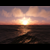:iconlemonfish: