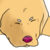 :iconlemonpirate:
