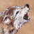 :iconlemonshred: