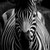 :iconlemophoto: