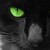 :iconlemorkoff: