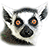 :iconlemurkaym: