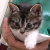:iconlen-japan: