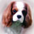 :iconlena-lou: