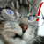 :iconlenden: