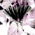 :iconlenelove: