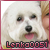 :iconlenka0051: