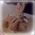 :iconlenka1981: