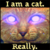 :iconlennanightrunner: