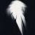 :iconlenny-n-shoe: