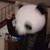 :iconlenny-sithong: