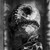 :iconlennyhfuji2205: