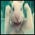 :iconlenor-chu: