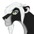 :iconlenoralioness: