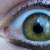 :iconlenoush: