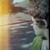 :iconlens-kitten:
