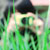 :iconlensless: