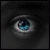 :iconlensqtr-stock: