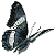 :iconLeoAlexSmith: