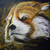 :iconleodegarius: