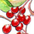 :iconleodesignerx: